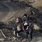 حصان