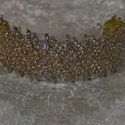هيد بيس   تاج اكسسوار للشعر