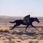 حصان
