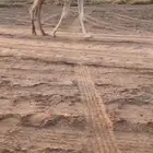 قعود كفو على ولد مرعب التويجري