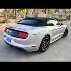 موستينج 2019 ايكوبوست كشف