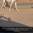 خلفه وضحا عليانيه معها قعود
