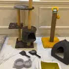 مستلزمات قطط