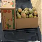 برشومي الحدب ميسان