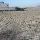 مطلوب مزارع بنسبه