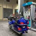 قولد وينق 2005