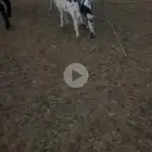شاه معه خروف ورخل