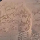 بطحاء الرياض دفان سافي جميع أنواع الخرصان