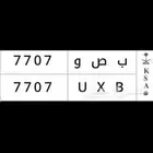 لوحة خصوصي البيع السوم 2100