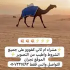 مجهم كفوو