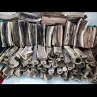 مستورد يابس س مررر