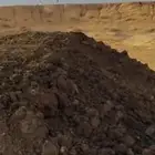 سماد بقري ودواجن
