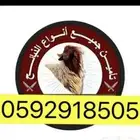 ذبايح