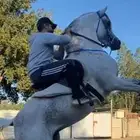 بايكة خيل للإيجار الدمام