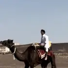 بكار وبل