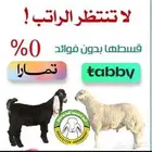 أبو ذيب للذبايح . ( يتوفر ذبح وتوصيل مجاني ).