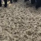 ذبايح عرب