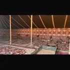 مخيم مهرجان الملك عبدالعزيز