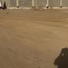 للبيع ارض مميزة بحي النور 6 ج س   أ