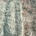 الصالحيه