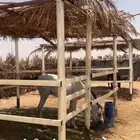خيل شعبي
