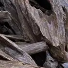 عود بروناي طبيعي من النوادر