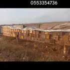 نحل للبيع