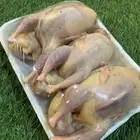 سمان فري مريعي ذبح وتربيه