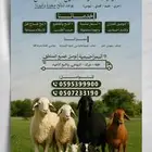 ذبائح نعيم فاخر مع التوصيل والذبح