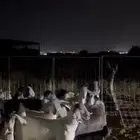 تيوس وجفار