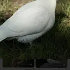 حمام فرنسي و بكستاني و انواع ثانيه