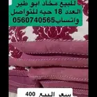 مخاد ابو طير للبيع 18 حبه بدون مراكي ..ب400