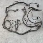 ظفيره اسيزو