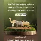 ذبائح حري ونعيم وخدمه توصيل انحاء الرياض