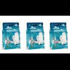 رمل قطط عرررض خاص