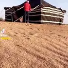 بيت شعر