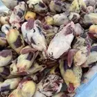 صفار سمان دخل
