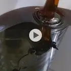 عسل