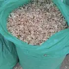 نشارة دواجن