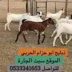 تيوس ذبايح