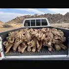 ح ط ب صندوق غماره