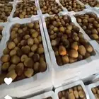 رطب روثانه اليوم واصل طيب بالحيل الي يبي نوصله بمشوار 15