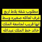 ابحث عم شقه