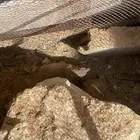 وبران منتجه