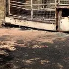 جمس ستيك محترق للبيع