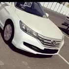 مرشد سياحي للمنطقة الجنوبية ويوجد سيارة كبيرة. وصغيرة