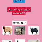 بيع ذبايح