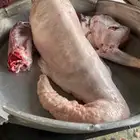ذبايح سواكن وحري يوجد ذبح وتوصيل لحمة شرط