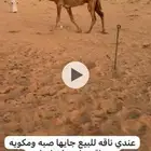 شعلا كفووو