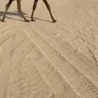 بكره مفروده معه ضير